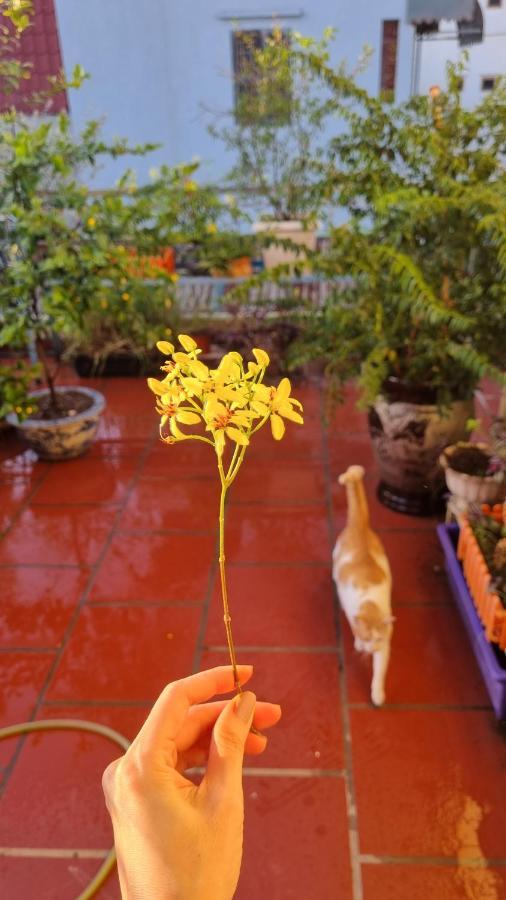 Daisy's Homestay Hanoi